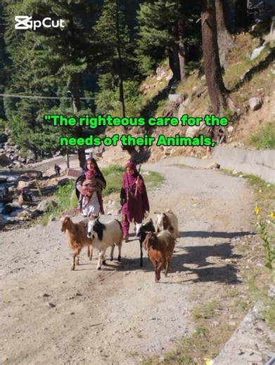 Proverbs 12:10 Bible verse|Word of wisdom