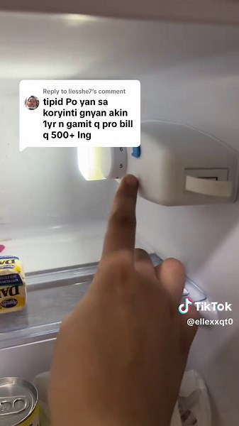 Mini Refrigerator with Freezer: Energy-Efficient Choice