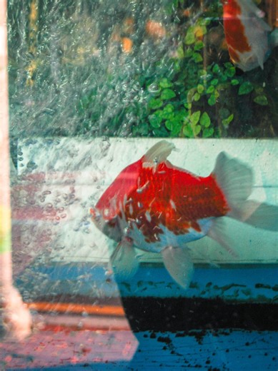 [CANON] 📷digital IXUS 700 📷 촬영 사진 ② (보정)