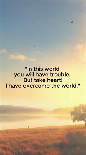 Proverb: John 16:33 "In this world you will have trouble. But take heart! I have overcome the world”