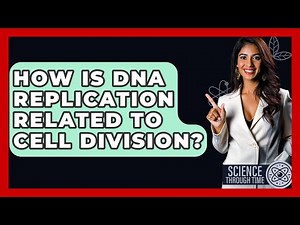 How Is DNA Replication Related To Cell Division? - Science Through Time