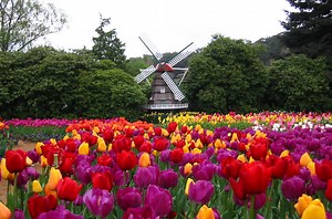 19 Glorious Things to Do in Melbourne in Spring