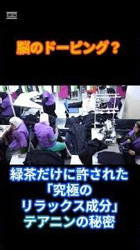 【脳のドーピング？】緑茶だけに許された「究極のリラックス成分」テアニンの秘密