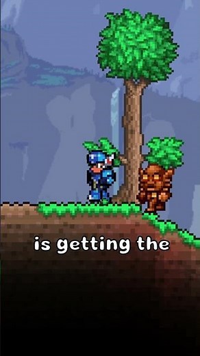 The FASTEST WAY To Get A Mount In Terraria! #terraria #gaming #facts