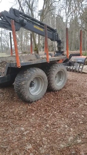 Steyr Tractor with lumber Transporter