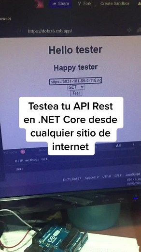 Tutorial de cómo probar tus API Rest en .NET Core desde internet #fyp #dotnetcore #apirest #https #json #coding