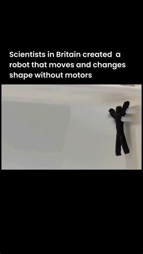 Robots.hub on Instagram: "Scientists in Britain just created a soft, jelly-like robot that can move and change shape without motors or joints. Yeah… read that again. Instead of gears and metal parts, it responds to electric fields. That means scientists can control it from a distance without touching it. It literally moves because of invisible energy around it. Why does that matter? Because rigid robots struggle in tight spaces, fragile environments, and unknown terrain. This soft robot could sq