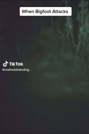 Encounter with Sasquatch in Discovering BIGFOOT Movie