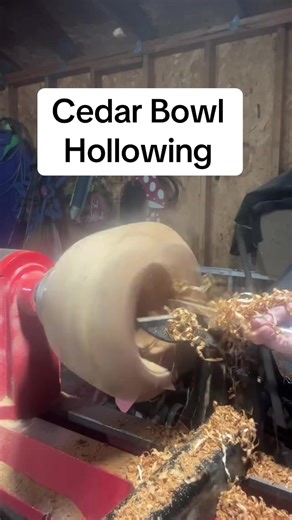 Watch the Cedar Shavings Fly! Hollowing a cedar bowl on a wood lathe using carbide citing tools. Wood turning a cedar bowl on a wood lathe. #tiktoklive #livehighlights #WoodTurning #woodturner #bowlturning