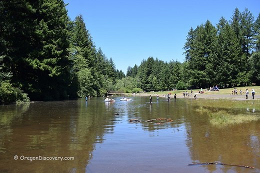 Silver Falls State Park Swimming - Chill in the Park of 15 Waterfalls - Oregon Discovery