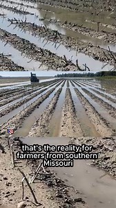 The reality for farmers in southern Missouri, Tennessee, Arkansas, and Mississippi. #agriculture #rain | U.S. Farm Report
