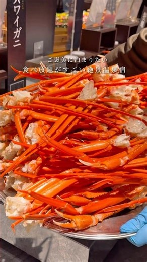 カニ・うなぎ・ステーキが食べ放題！？冬旅におすすめの絶景温泉宿♨️ #shorts #温泉 #ホテル #旅行 #食べ放題