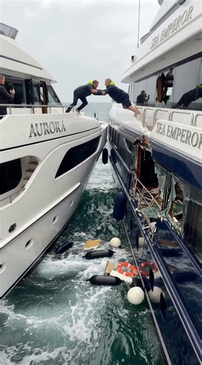 Two Luxury Yachts Collide at Sea… Owners Argue and One Falls In 🛥️