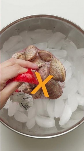 Fulton Fish Market | How to Store Live Seafood (Mussels, Oysters, and Clams)