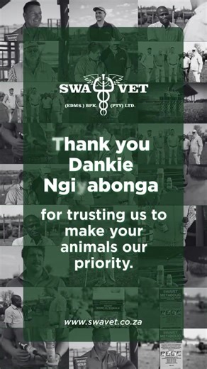 This years were filled with exciting developments for the Swavet team. We implemented a new marketing strategy, hosted practical training sessions, and travelled many kilometres, all to make your animals our priority! Thank you for your continuous support. Keep an eye on our social media channels for everything that is to come in 2026. #Swavet #SwavetAnimalHealth #YourAnimialsOurPriority #JouDiereOnsPrioriteit