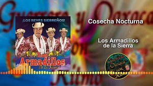 Cosecha Nocturna - Los Armadillos de la Sierra | Guerrero y Oaxaca con Ritmo
