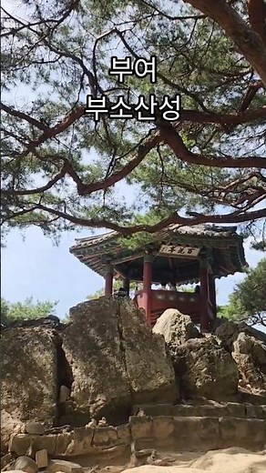 부소산성#korea #한국의맛 #travel #국내여행 #부여가볼만한곳#백제문화단지 #백제문화제 #여행 #부여여행 #부여서동연꽃축제