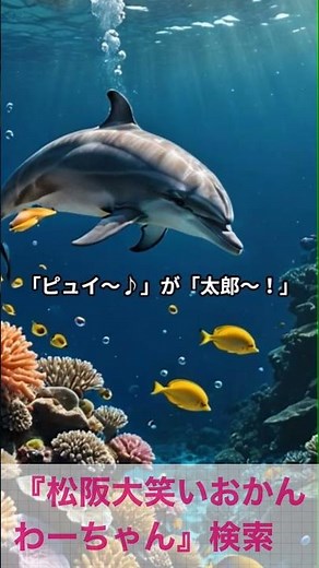 松阪市 シニア向けスマホ活用教室 電車やバスの時間をAIで調べられて安心 70代 #shorts