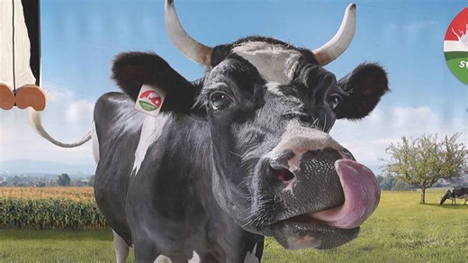 Dimanche 12 avril 2026 - Canal Alpha