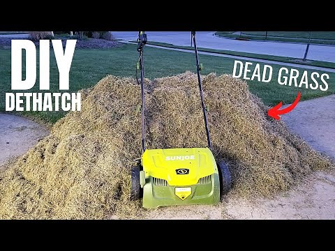 DIY Dethatching & Overseed the Lawn | Sun Joe Dethatcher & Scarifier | Spring Lawn Care