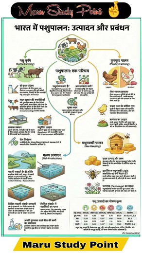 भारत में पशुपालन | Animal Husbandry in India #reet #indiagk #india