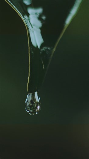 Uresta is the reusable, comfy bladder support that’s helped thousands of women put pee leaks behind them. | Uresta