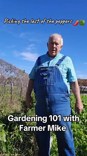 Picking the last of the peppers , Time to can some HOTTER, we appreciate y’all #peppers #canning #fall #fallvibes2025 | Gardening 101 with Farmer Mike