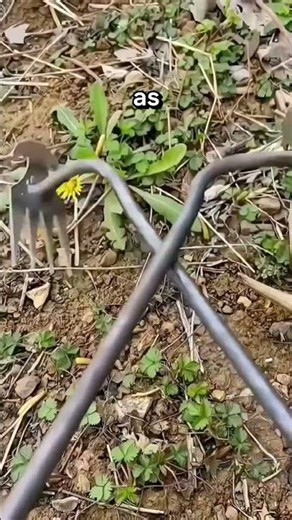 High-Quality 30cm Plant Root Extractor Tools for Garden Grass