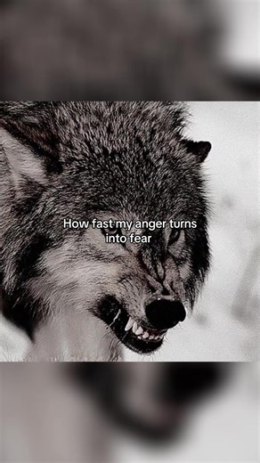 #vent #fyp #real #relatable #viral ass template imo 🫩✌️