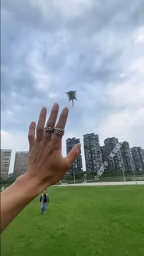 Sugar Glider Performs a Perfect Backhand Flight! 🏸 #PetTraining #CutePets #FlyingSquirrel