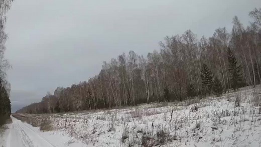 Serene Snowy Landscape Along a Winter Pathway