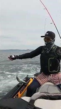 Unexpected KING FISH