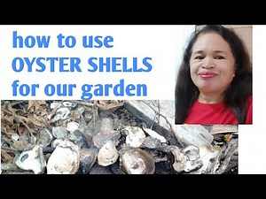 HOW TO USE OYSTER SHELLS FOR OUR GARDEN