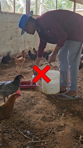 poultry farm with technical work #youtube #youtubeshorts