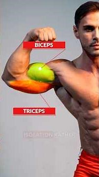 Barbells for bigger arms