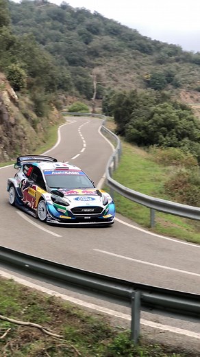 Ford Fiesta WRC Rally Edit Compilation