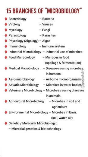 Top 15 Branches of Microbiology #science #microbiology #shorts
