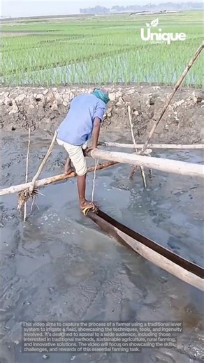 Farming ingenuity: lever water pump manual lever irrigation