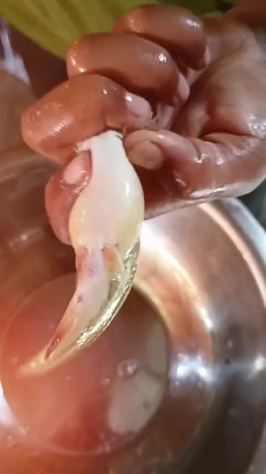 Md ibrahim on TikTok