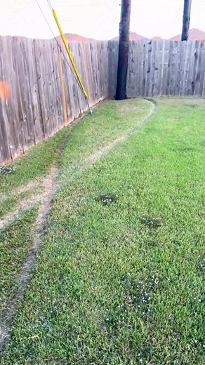 7.3K views · 61 reactions | Should i sign him up for the Olympics  | ATM-Daily | Facebook