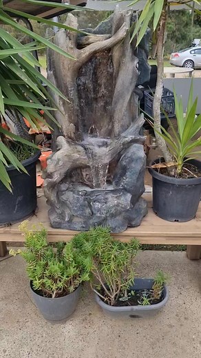 Large waterfall 1mtr tall Pickup morisset | Sharon AH