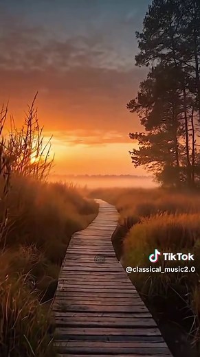 Canon de Pachelbel: Belleza Barroca en Tres Violines