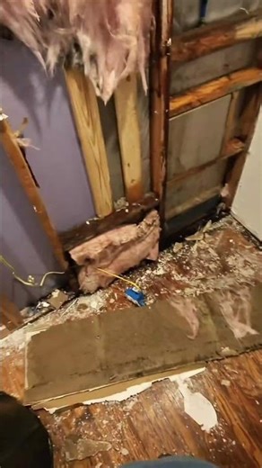 How a Slow Drip Leads to Catastrophic Water Damage in a Lakeway Home