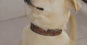 Video by Ali  Alcántara on Pexels