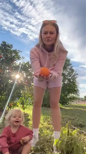 Orange picking adventure!