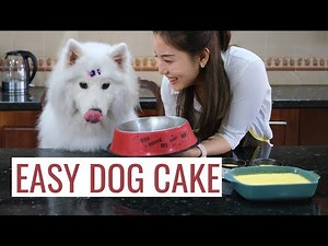 EASY CAKE RECIPE FOR DOG: delicious custard pudding/flan edible for dogs | DIY DOG TREATS Ep.1