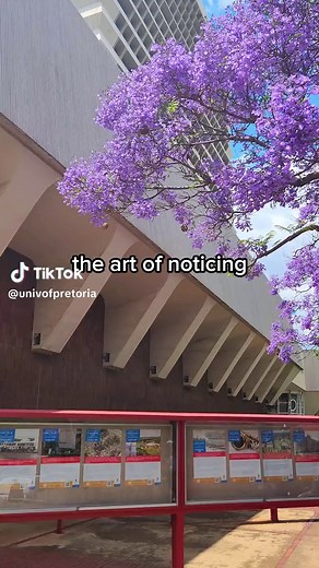 Explore the University of Pretoria Campus: A Guided Tour