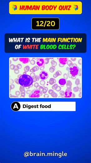 32 reactions | Can you pass the 1st grade human body exam 易 #humanbody #anatomy #quiz #gk #fyp | Quiz Aama | Facebook