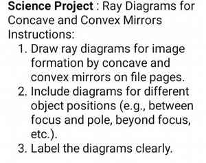 Science Project : Ray Diagrams for Concave and Convex Mirrors I... | Filo