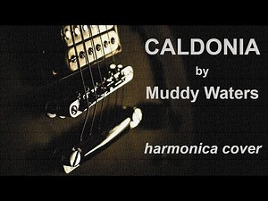 Caldonia | Muddy Waters - Beginner’s jamming